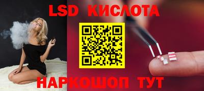 дурь Шелехов