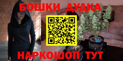 spice Шебекино