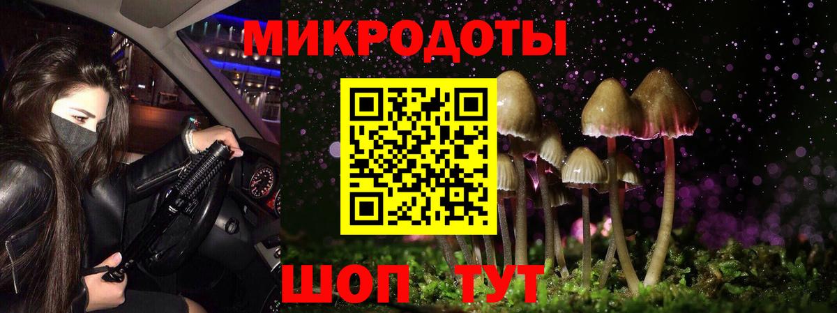 Псилоцибиновые грибы ЛСД Будённовск